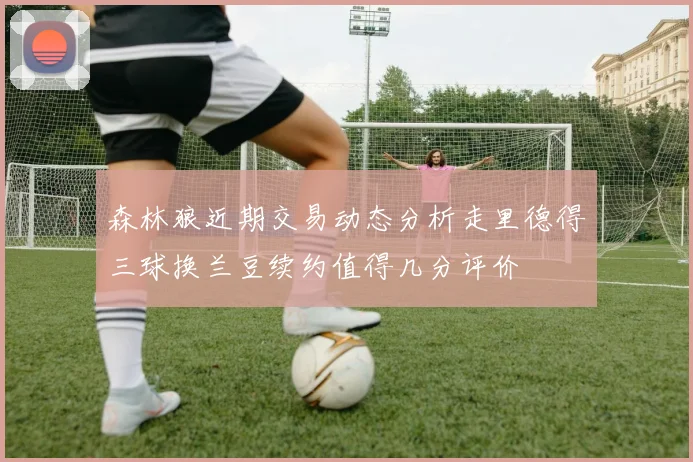 森林狼近期交易动态分析走里德得三球换兰豆续约值得几分评价