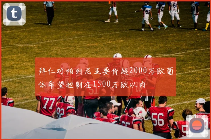 拜仁对帕利尼亚要价超2000万欧葡体希望控制在1500万欧以内